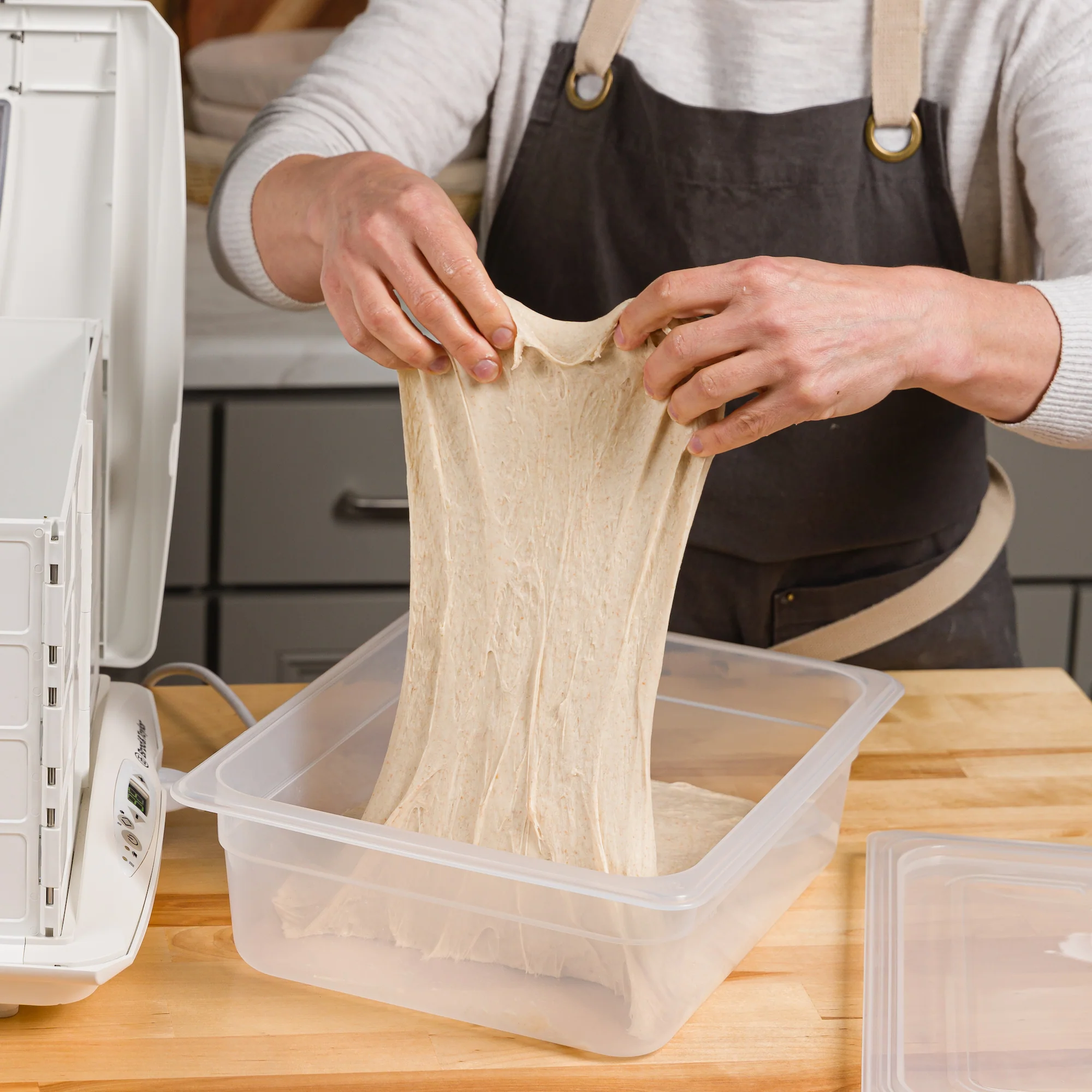 Set of 2 Proofing Container (6L) - Image 4