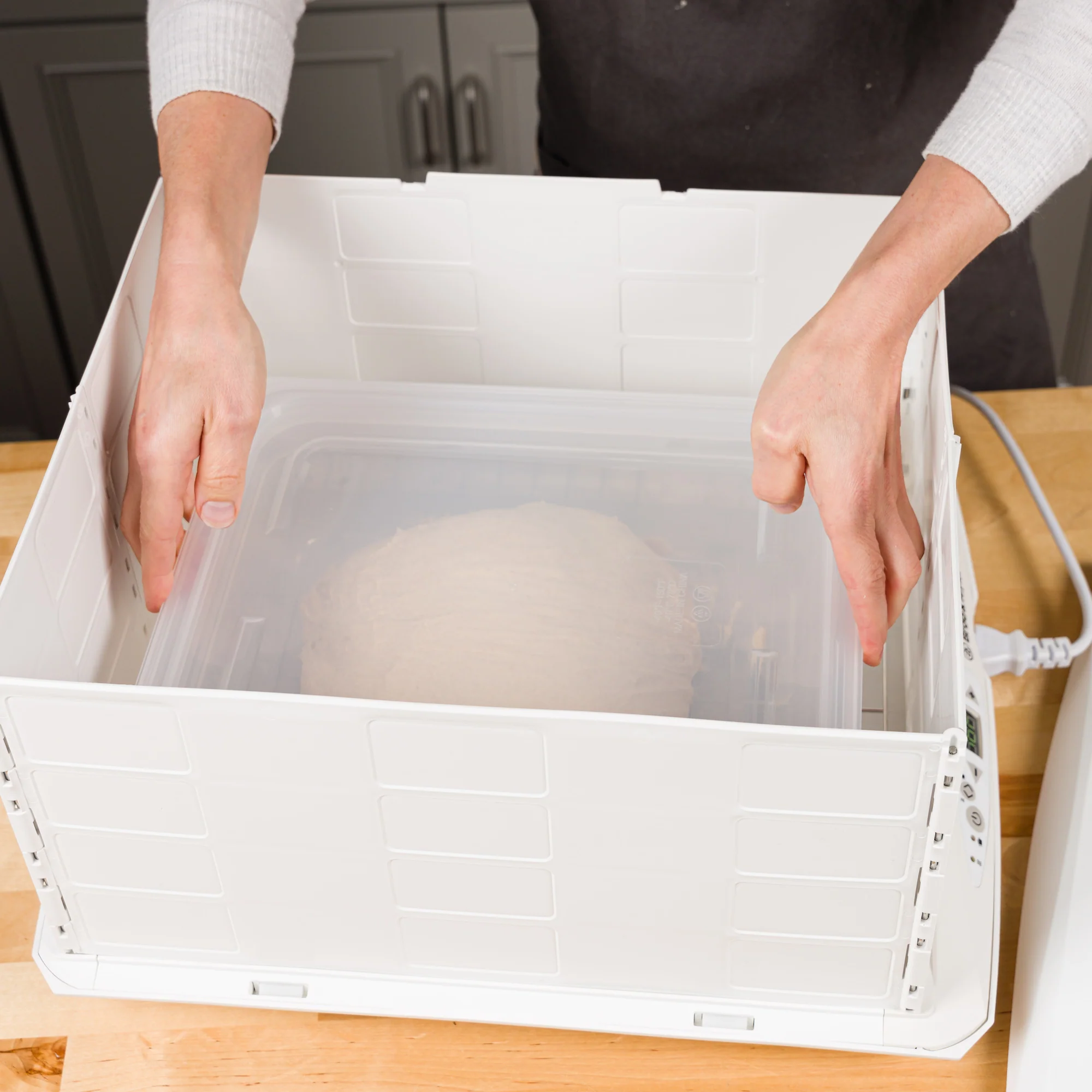 Set of 2 Proofing Container (6L) - Image 5
